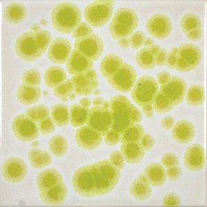 ac-45_chartreuse_tile